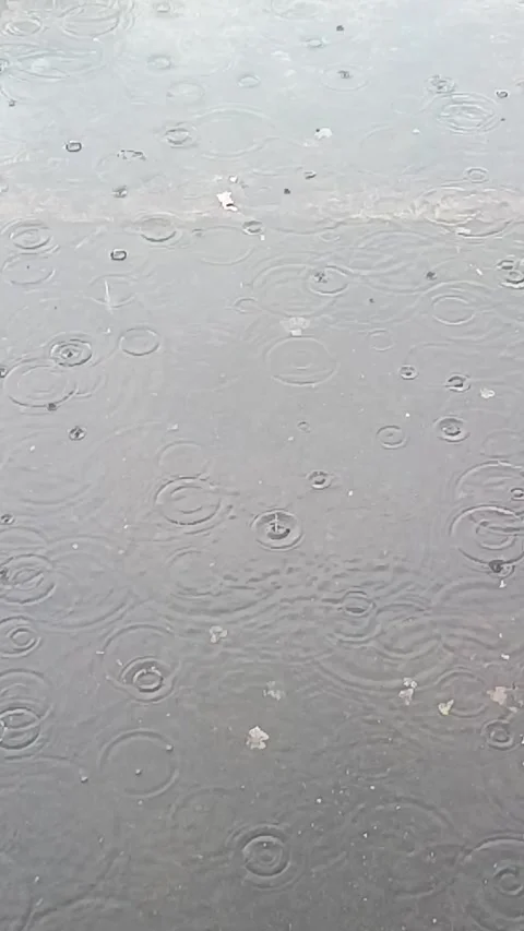 Raindrops on Water Stock Footage 310021022