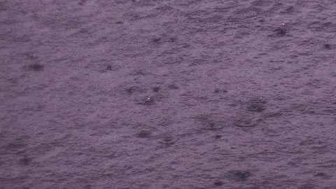 Raindrops in the water of the lake Video stock 120055013