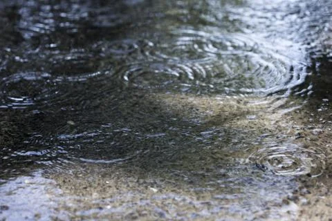 Raindrops on the water Stock Photos