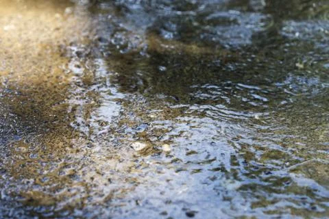 Raindrops on the water Stock Photos