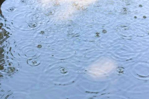 Raindrops on the water Stock Photos