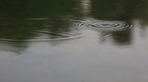 Raindrops on the water ripples Stock Footage 57763756