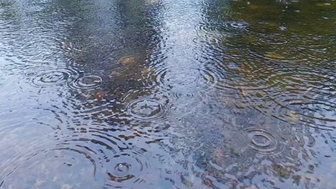 Raindrops On The Water Slowmotion Stock Footage 107745127