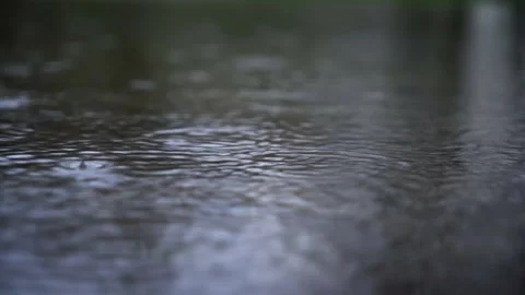 Raindrops on water in the spring forest. Close-up. Stock Footage 238832956