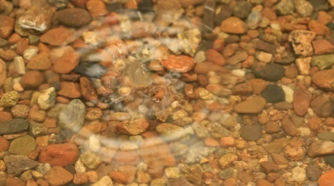 Raindrops on water surface Video stock 27977921