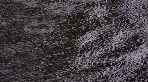 Raindrops on a water surface Stock Footage 38399243