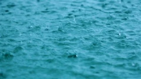 Raindrops on water surface Stock Footage 81053773