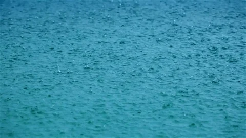 Raindrops on water surface Stock Footage 81198622
