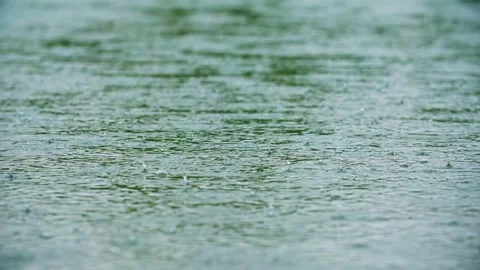Raindrops on the water surface of the lake close-up Stock Footage 257858712