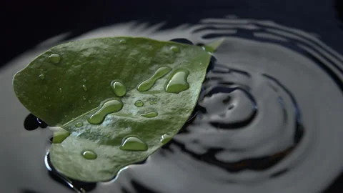 Raindrops on the water surface. Meditation.  Stock Footage 171300204