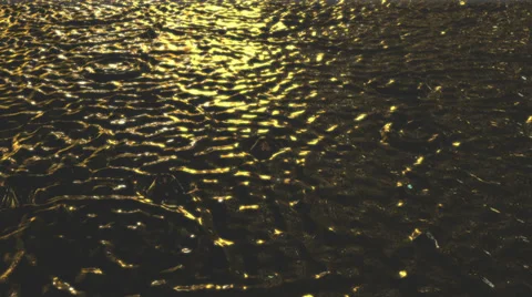 Raindrops on water surface at night Stock Footage 39683737