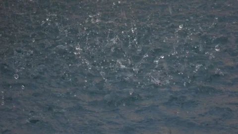 Raindrops on water surface of a pond Vídeos de archivo 76965485