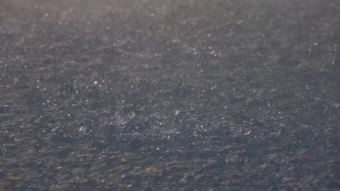 Raindrops on water surface of a pond Vidéo 76969210