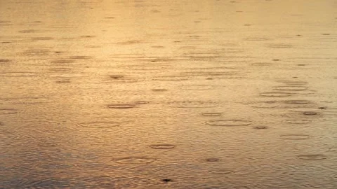 Raindrops on the water surface. The reflection of the sunset sky on the water. Stock Footage 304945036
