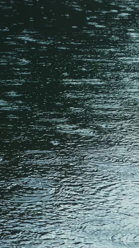 Raindrops, water surface ripples, slow motion, vertical, 45 degree angle Vídeos de archivo 332059953