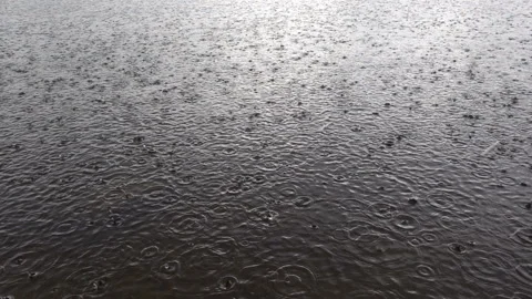 Raindrops on the water surface in slow motion. Stock Footage
