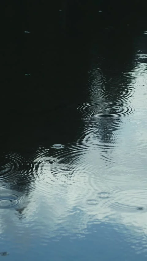 Raindrops on water surface, vertical shot, tree reflections, rain falling 库存影片 332060085