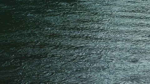 Raindrops on water surface, waves spreading top down, rain ripples Video stock 332059958