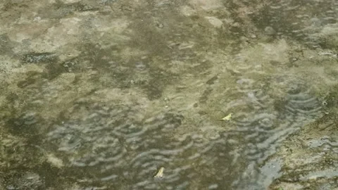 Raindrops on Wet Concrete Surface Stock Footage 306439758