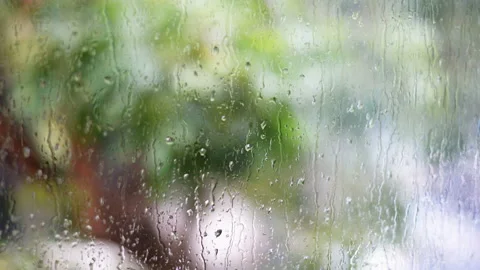 Raindrops on The Window and Blur Green Trees on The Background Stock Footage 135897167