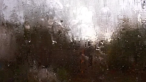 Raindrops on the window and mosquito net, cloudy weather, soft focus Stock Footage 163837451