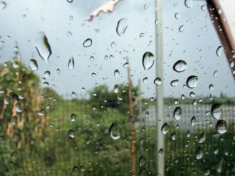 Raindrops on a window with a blurred garden background. Fotos de archivo