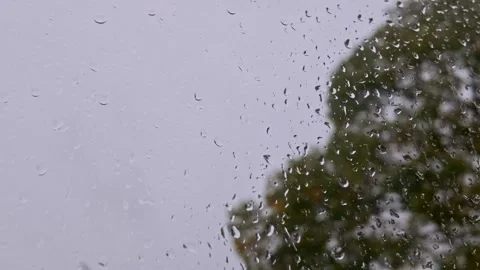 Raindrops on Window during storm Amy with Chestnut tree in background 4K Stock Footage 318415159