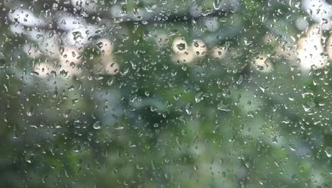Raindrops on the window Stock Footage 11217526