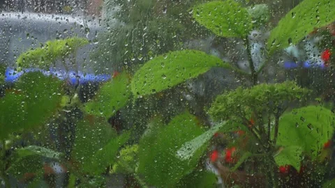 Raindrops on a window Stock Footage 138966233