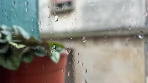 Raindrops on the window Stock Footage 220740714