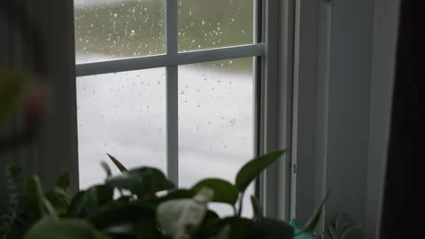 Raindrops on window Stock Footage 243399097
