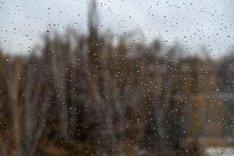 Raindrops on window glass on blurred background of trees in city park. Autumn ra Fotos Stock