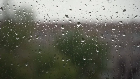 Raindrops on the window glass Stock Footage 109116830