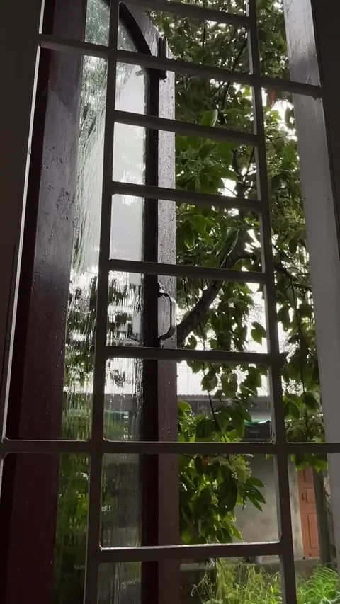 Raindrops on Window Glass with Green Tree and Security Bars 库存影片 341840848