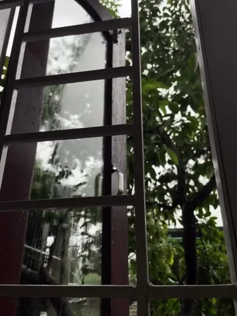 Raindrops on Window Glass with Green Trees Outside Stock-Footage 341840840