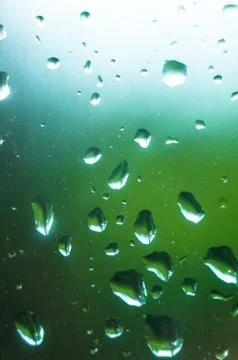 Raindrops on the window glass Stock Photos
