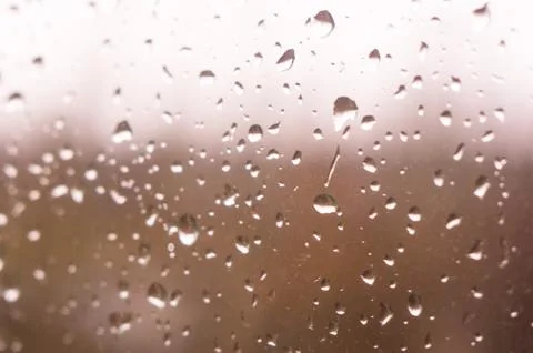 Raindrops on the window glass Stock Photos