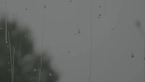 Raindrops on window glass surface and swinging tree in the background Stock Footage 318415974