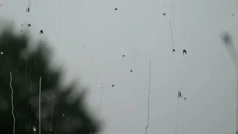 Raindrops on window glass surface and swinging tree in the background Stock Footage 318677637