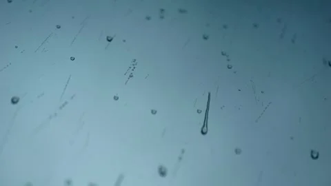 Raindrops on window glass surface Stock Footage 318677544