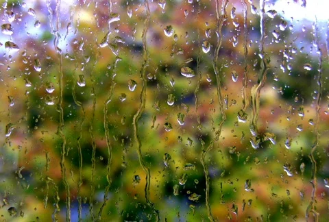  Raindrops on the window NTSC HD PAL Video stock 299815
