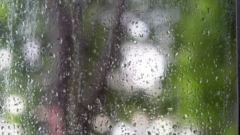 Raindrops on Window Overlooking Garden Stock Footage 241308453