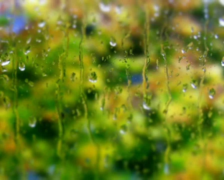 Raindrops on the window PAL &amp; HD Available Video stock 298987