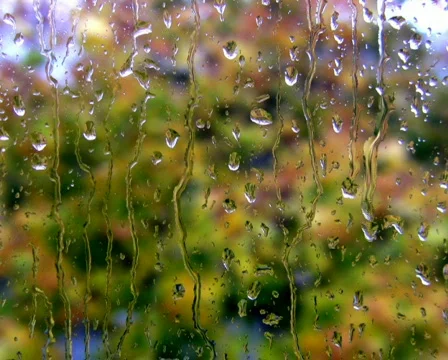 Raindrops on the window PAL &amp; HD Available Video stock 298996