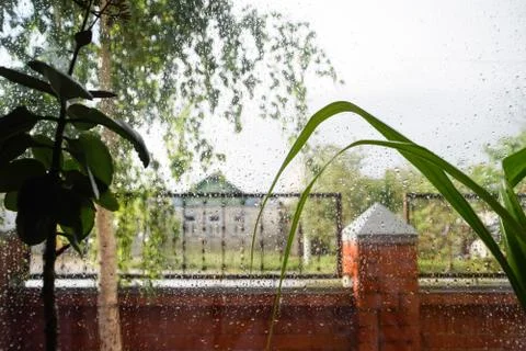 Raindrops on window pane. Blurred background outside the window in the rain. Stock Photos