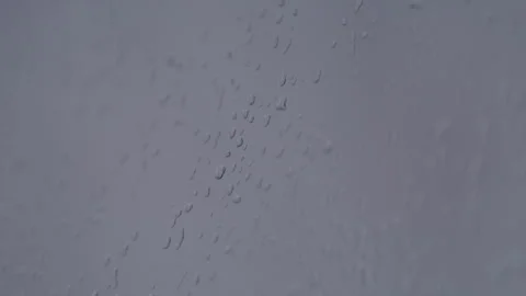 Raindrops on a Window Pane Create Beautiful and Abstract Patterns That Tell a Stock Footage 283128659