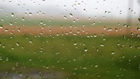 Raindrops on the window Stock Photos