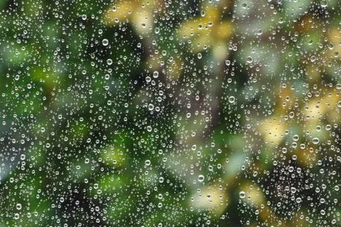 Raindrops on a window Stock Photos