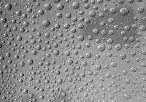 Raindrops on a window Stock Photos