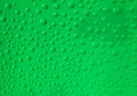 Raindrops on a window Stock Photos